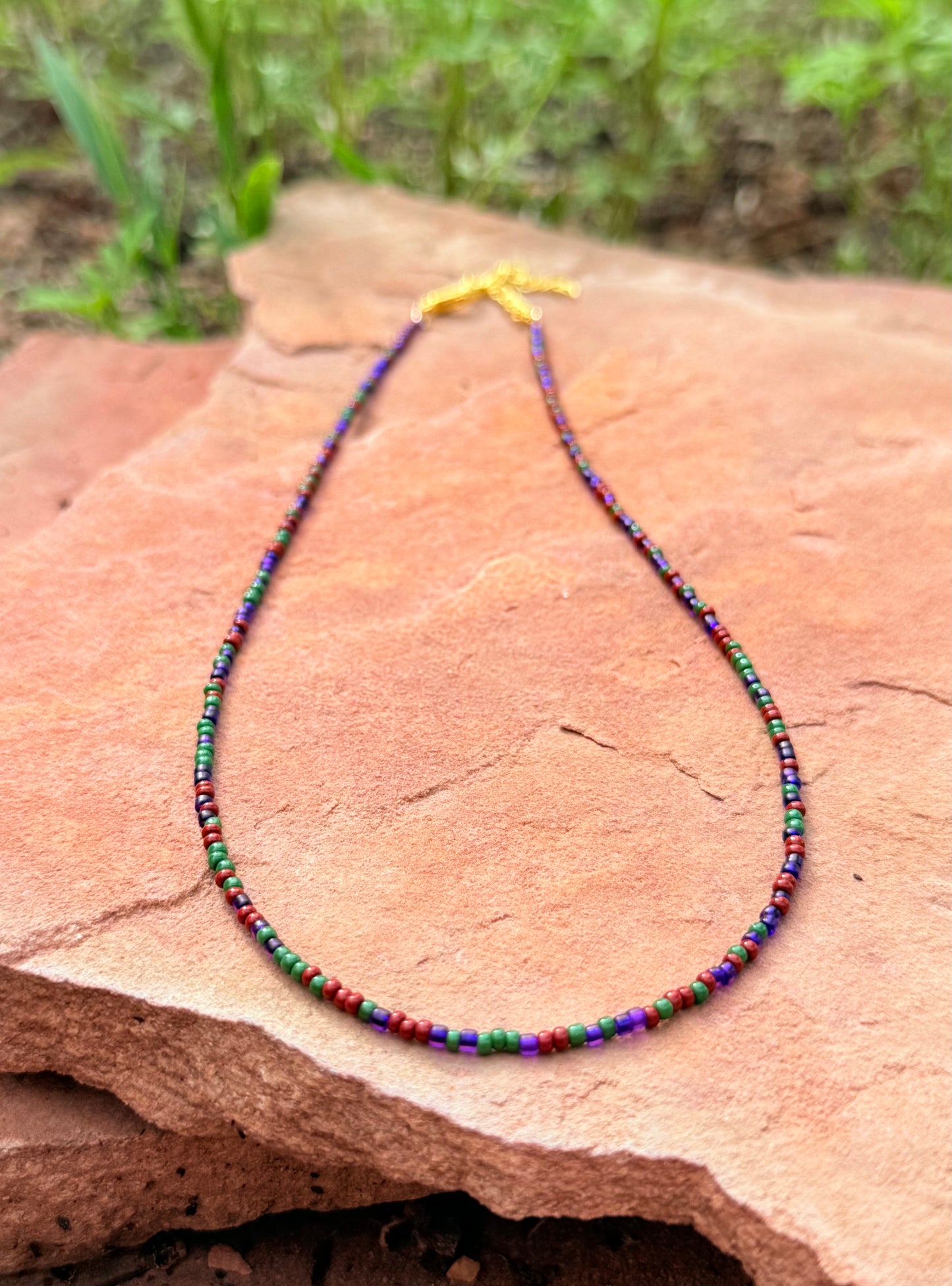 Meet Me in the Woods